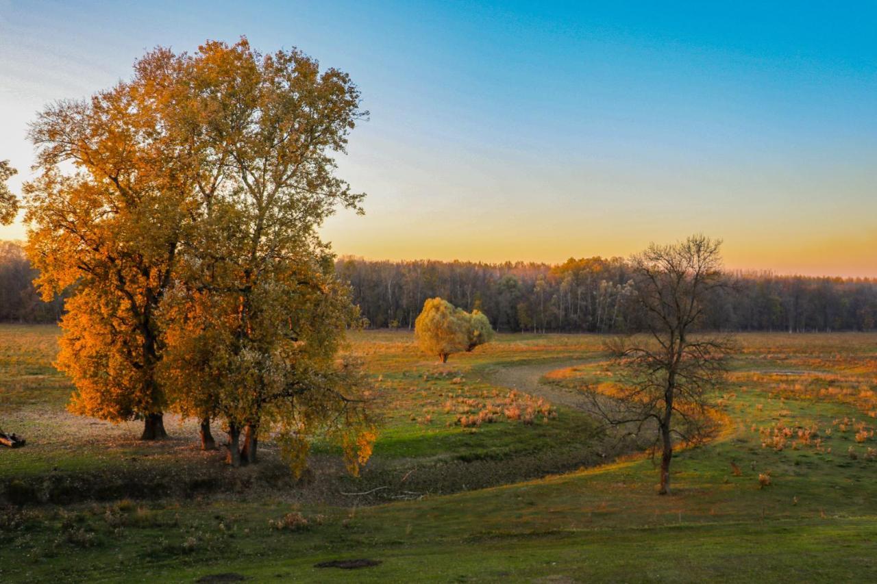 Zmaj Ognjeni Etno Concept Appartement Kupinovo Buitenkant foto