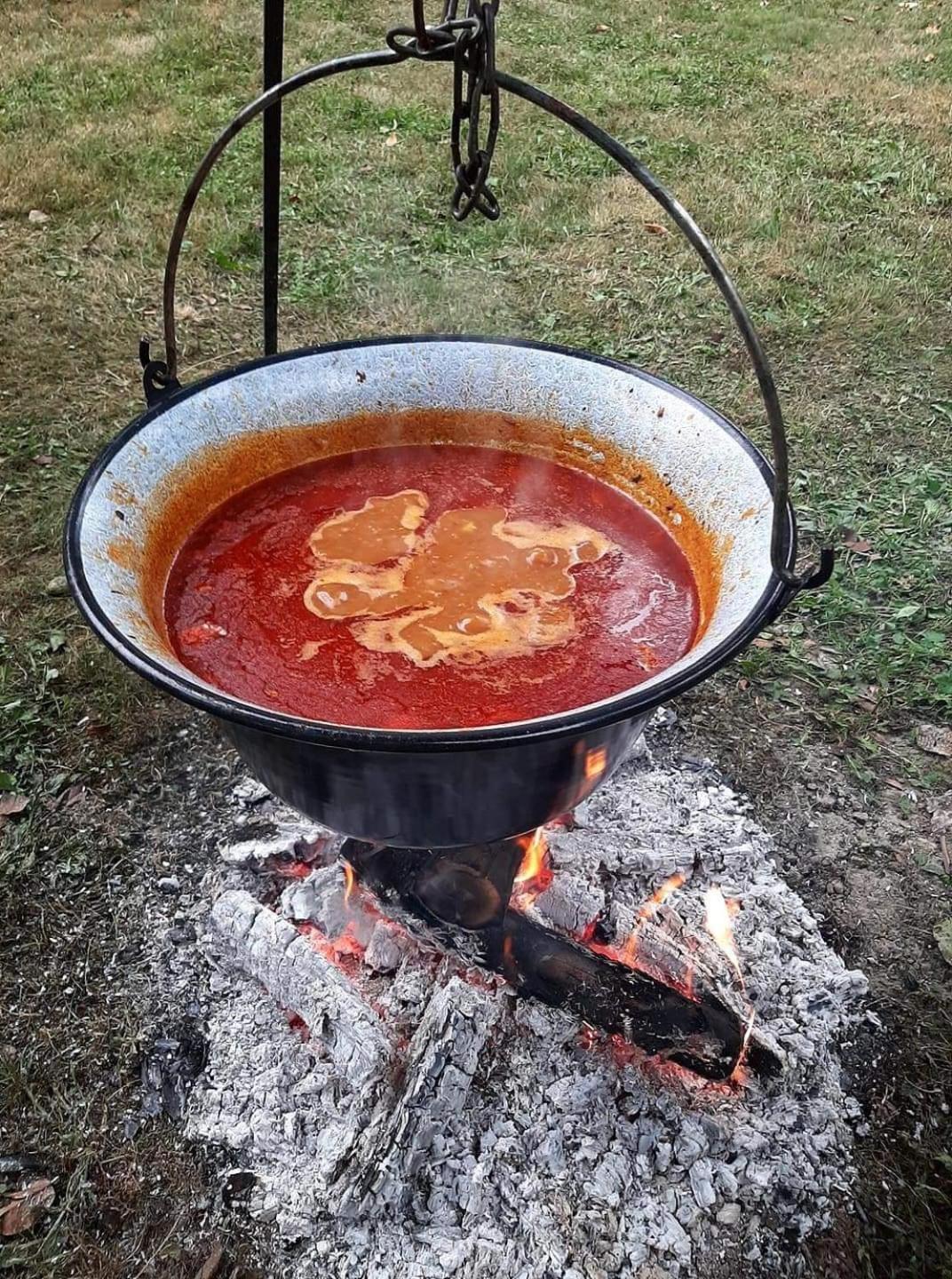 Zmaj Ognjeni Etno Concept Appartement Kupinovo Buitenkant foto